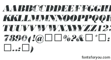 806typography font – Fonts Starting With 8