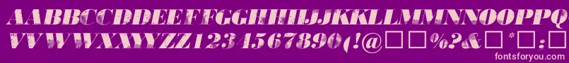 806typography Font – Pink Fonts on Purple Background