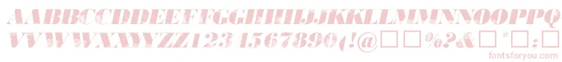 806typography Font – Pink Fonts