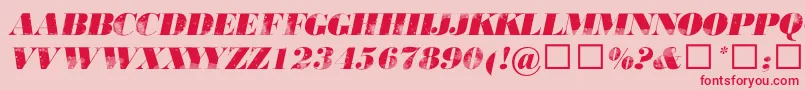 806typography Font – Red Fonts on Pink Background