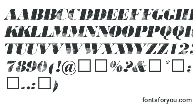  806typography font