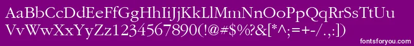 Aggcl Font – White Fonts on Purple Background