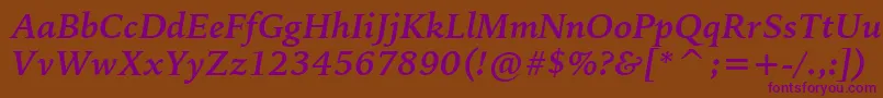 BitstreamIowanOldStyleBoldItalicBt Font – Purple Fonts on Brown Background