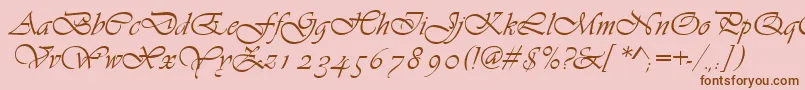 Asylbekm13vivante.Kz Font – Brown Fonts on Pink Background