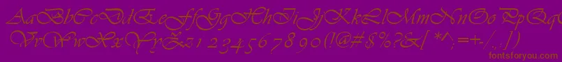 Asylbekm13vivante.Kz Font – Brown Fonts on Purple Background