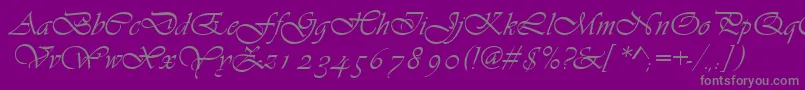Asylbekm13vivante.Kz Font – Gray Fonts on Purple Background