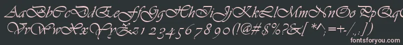 Asylbekm13vivante.Kz-Schriftart – Rosa Schriften auf schwarzem Hintergrund