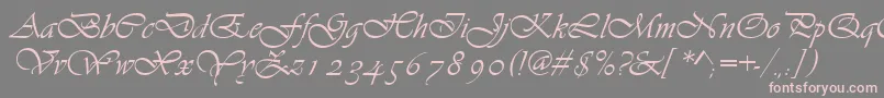 fuente Asylbekm13vivante.Kz – Fuentes Rosadas Sobre Fondo Gris
