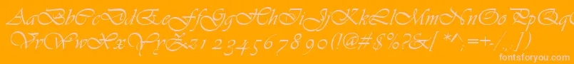 Asylbekm13vivante.Kz Font – Pink Fonts on Orange Background