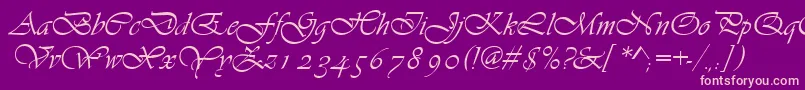 Шрифт Asylbekm13vivante.Kz – розовые шрифты на фиолетовом фоне