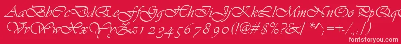Asylbekm13vivante.Kz Font – Pink Fonts on Red Background