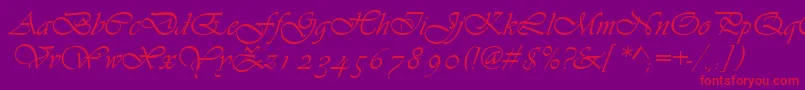 Asylbekm13vivante.Kz-Schriftart – Rote Schriften auf violettem Hintergrund