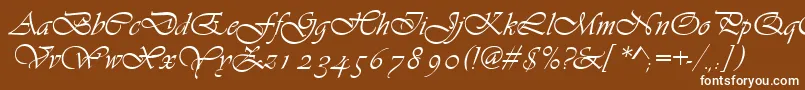 フォントAsylbekm13vivante.Kz – 茶色の背景に白い文字