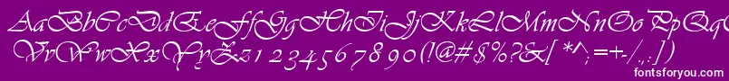 Asylbekm13vivante.Kz Font – White Fonts on Purple Background