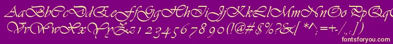 Asylbekm13vivante.Kz Font – Yellow Fonts on Purple Background