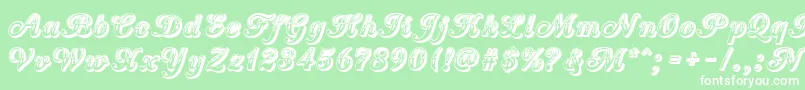 CountryWesternScript Font – White Fonts on Green Background