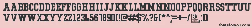 TypoCollegeDemo Font – Black Fonts on Pink Background