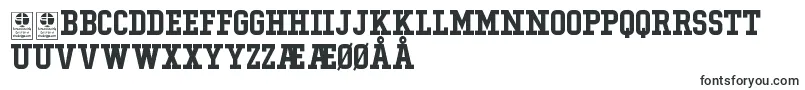 TypoCollegeDemo-fontti – tanskankieliset fontit