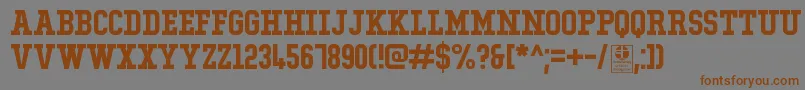 Fonte TypoCollegeDemo – fontes marrons em um fundo cinza