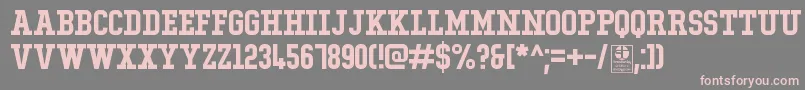フォントTypoCollegeDemo – 灰色の背景にピンクのフォント