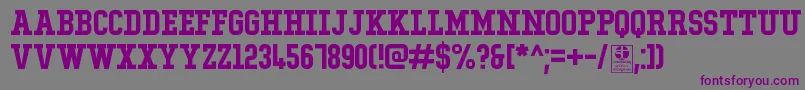 TypoCollegeDemo-Schriftart – Violette Schriften auf grauem Hintergrund