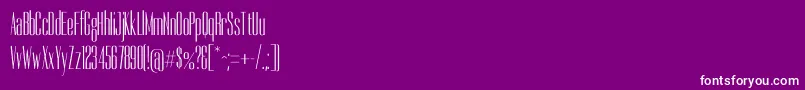 DorsaRegular Font – White Fonts on Purple Background