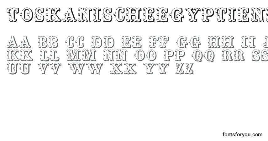 Schriftart Toskanischeegyptienneinitialen – Alphabet, Zahlen, spezielle Symbole