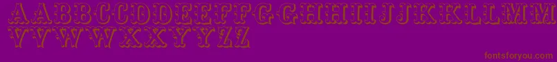 Toskanischeegyptienneinitialen Font – Brown Fonts on Purple Background