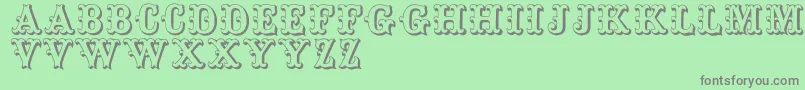 Toskanischeegyptienneinitialen Font – Gray Fonts on Green Background