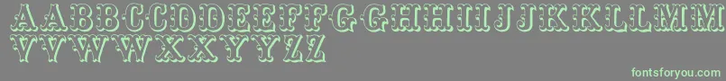 Toskanischeegyptienneinitialen-Schriftart – Grüne Schriften auf grauem Hintergrund