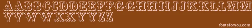 Toskanischeegyptienneinitialen Font – Pink Fonts on Brown Background