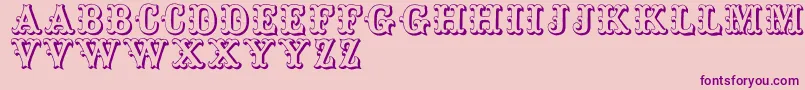 Toskanischeegyptienneinitialen Font – Purple Fonts on Pink Background