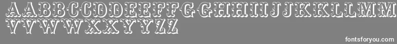 Toskanischeegyptienneinitialen Font – White Fonts on Gray Background