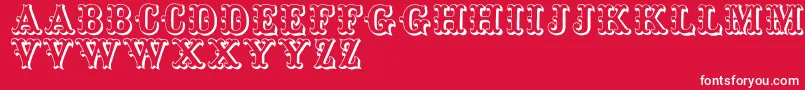 Toskanischeegyptienneinitialen Font – White Fonts on Red Background