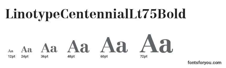 LinotypeCentennialLt75Bold-fontin koot
