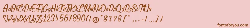 LadyBohemia2 Font – Brown Fonts on Pink Background