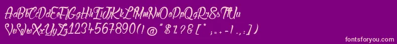 LadyBohemia2 Font – Pink Fonts on Purple Background