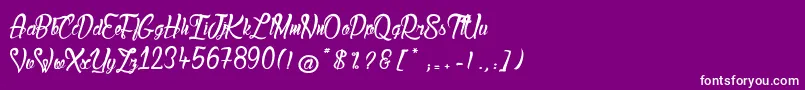 LadyBohemia2 Font – White Fonts on Purple Background