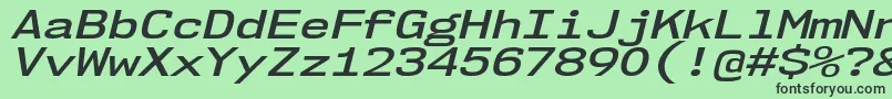 Nk57MonospaceExSbIt Font – Black Fonts on Green Background