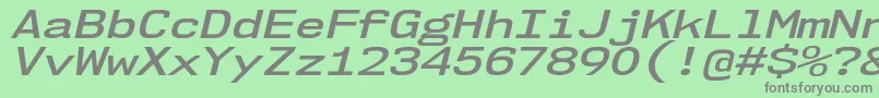 Nk57MonospaceExSbIt Font – Gray Fonts on Green Background