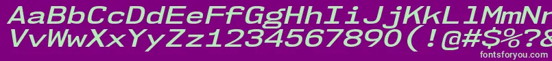 Nk57MonospaceExSbIt Font – Green Fonts on Purple Background