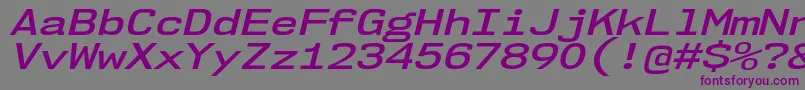 Nk57MonospaceExSbIt Font – Purple Fonts on Gray Background