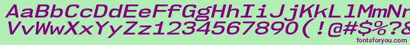 Nk57MonospaceExSbIt Font – Purple Fonts on Green Background