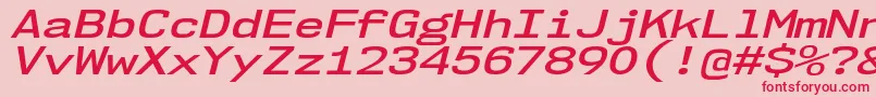 Nk57MonospaceExSbIt Font – Red Fonts on Pink Background