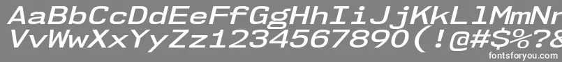 フォントNk57MonospaceExSbIt – 灰色の背景に白い文字