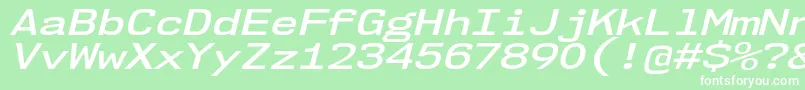 フォントNk57MonospaceExSbIt – 緑の背景に白い文字