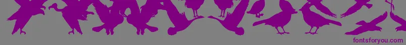 Bfeather Font – Purple Fonts on Gray Background