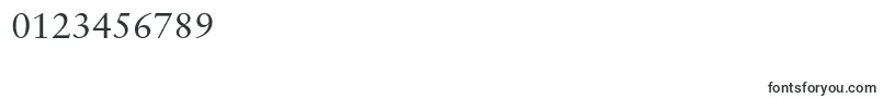 SabonltstdRoman-Schriftart – Schriften für Zahlen und Nummern