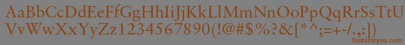 SabonltstdRoman Font – Brown Fonts on Gray Background