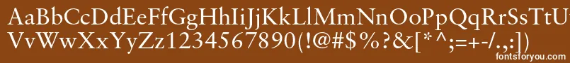 SabonltstdRoman-fontti – valkoiset fontit ruskealla taustalla